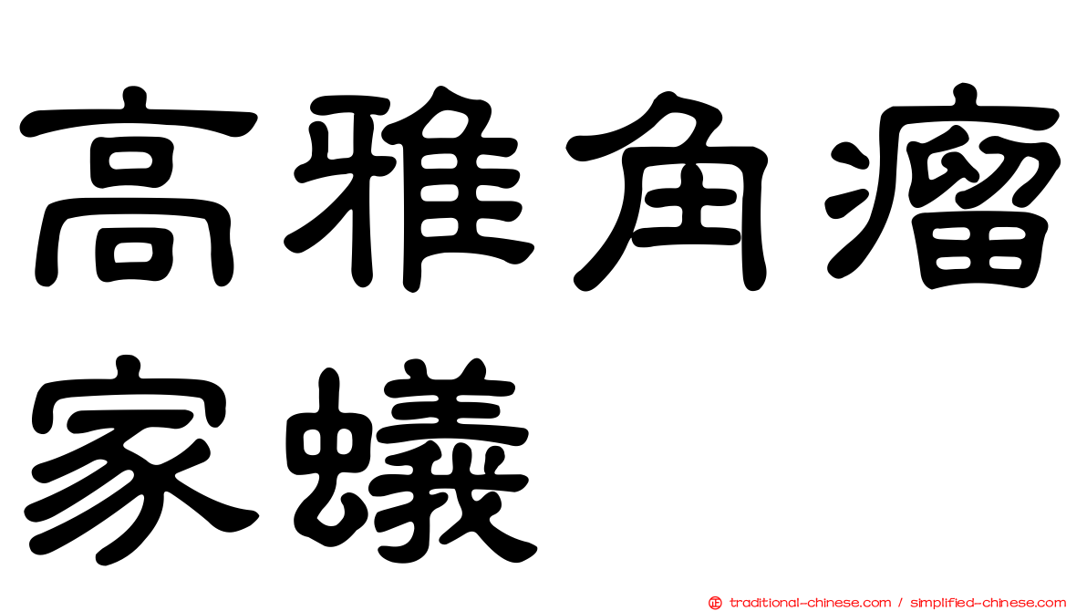 高雅角瘤家蟻