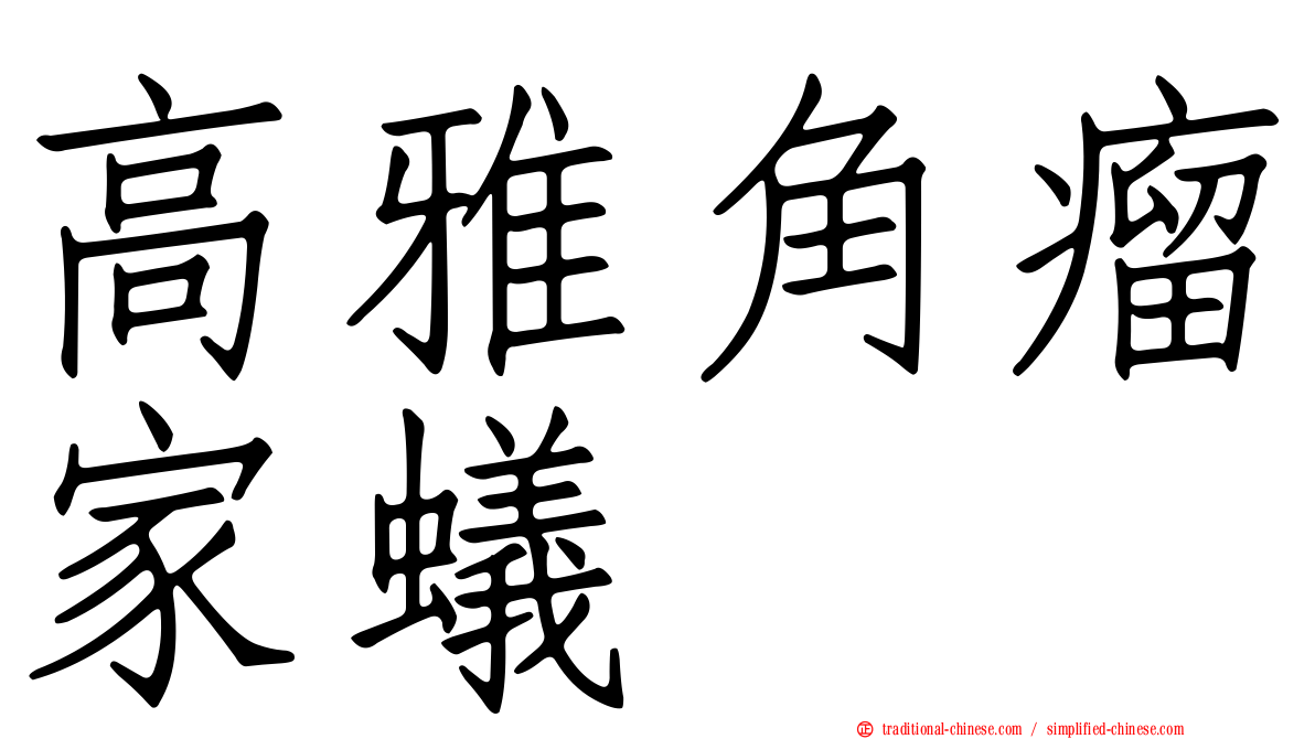 高雅角瘤家蟻