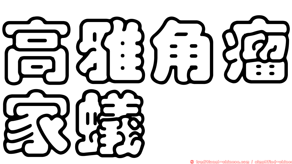 高雅角瘤家蟻