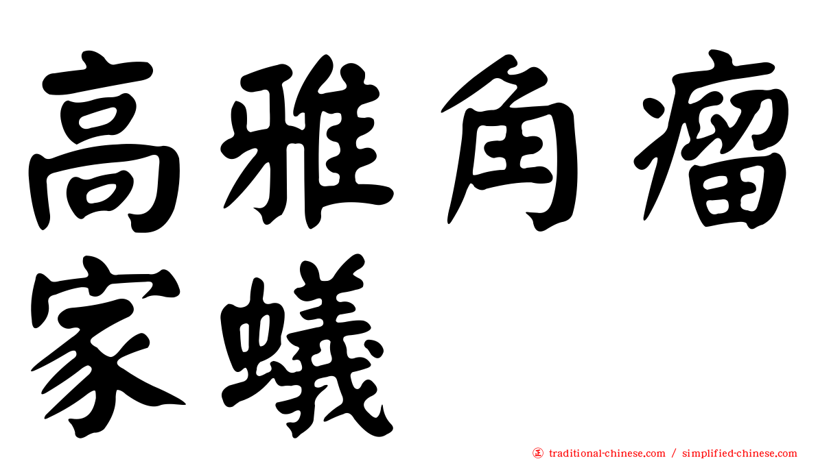 高雅角瘤家蟻