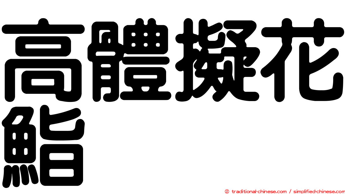 高體擬花鮨