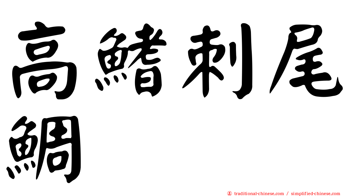 高鰭刺尾鯛