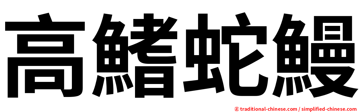 高鰭蛇鰻