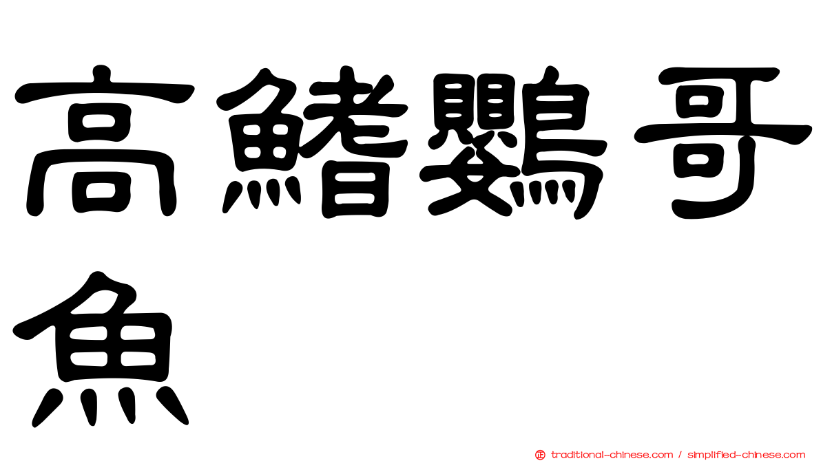 高鰭鸚哥魚