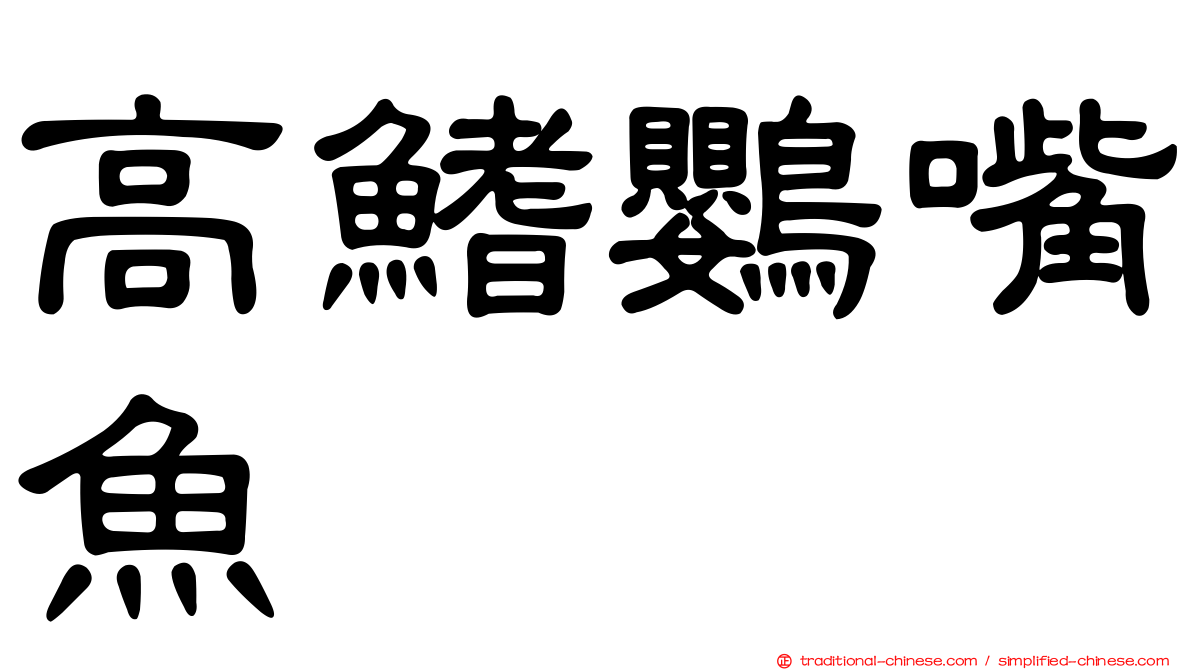 高鰭鸚嘴魚