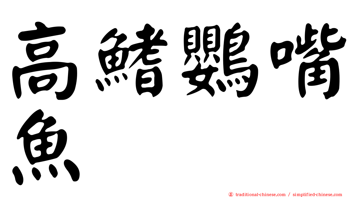 高鰭鸚嘴魚