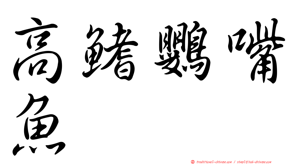 高鰭鸚嘴魚