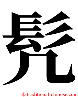 髠 serif font