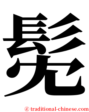 髧 serif font