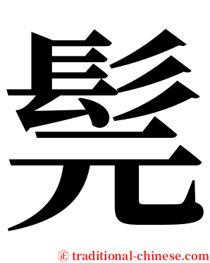 髨 serif font