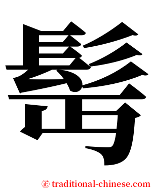 髩 serif font