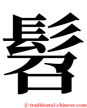 髫 serif font