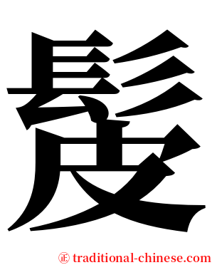 髲 serif font