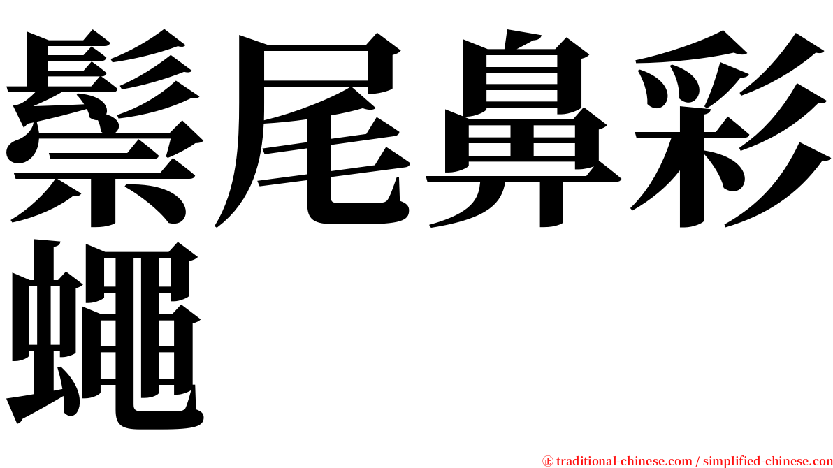 鬃尾鼻彩蠅 serif font