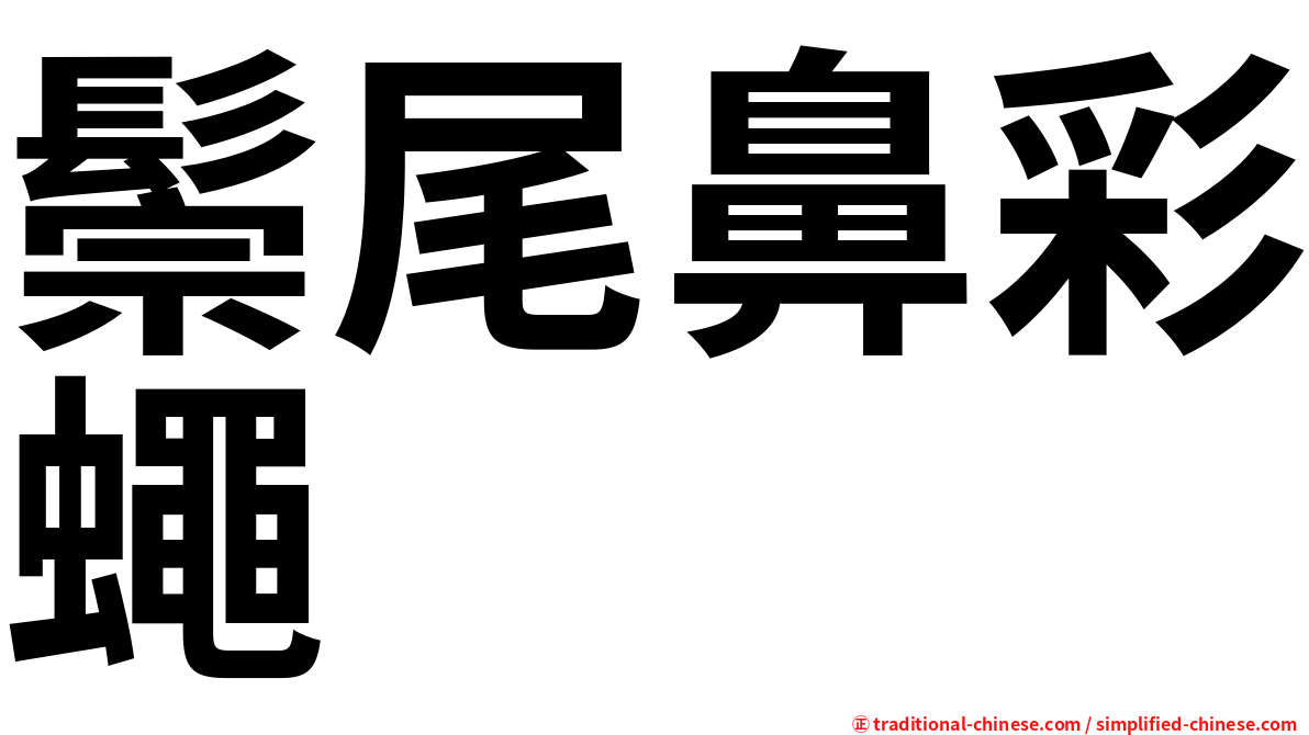 鬃尾鼻彩蠅