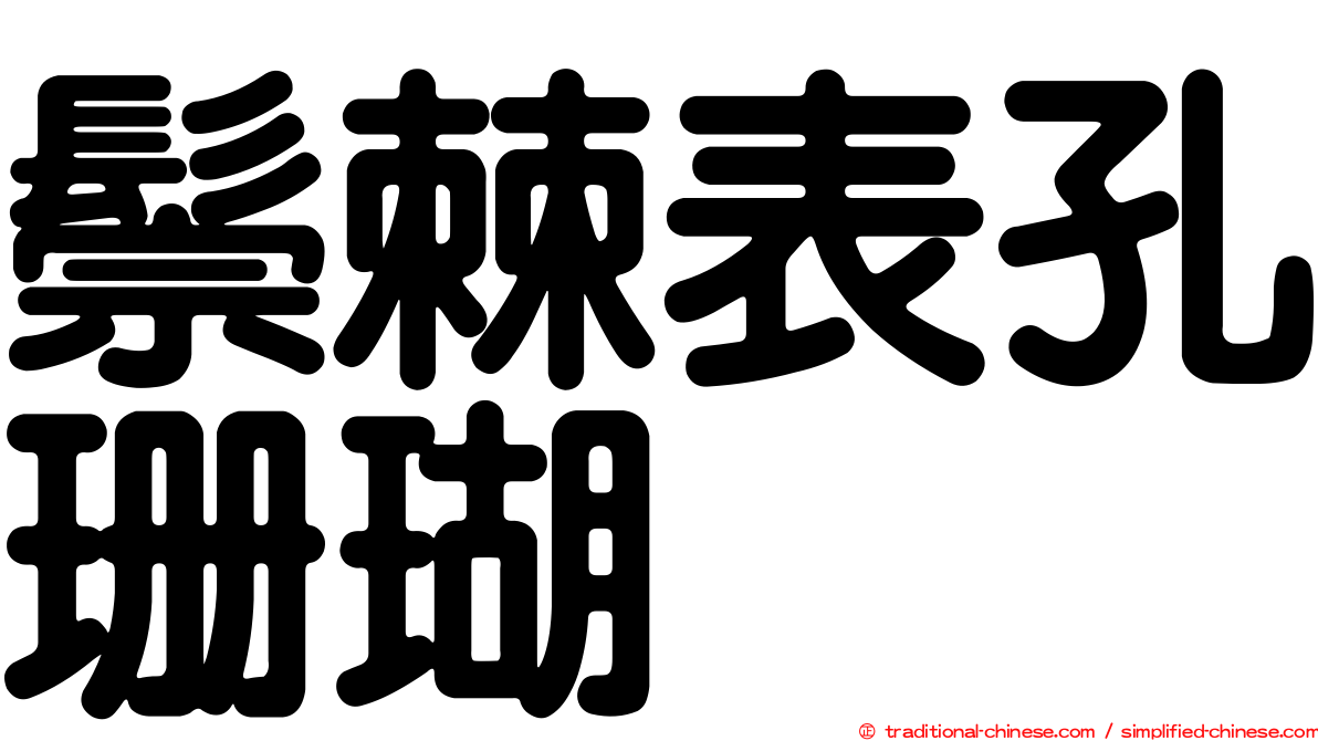 鬃棘表孔珊瑚