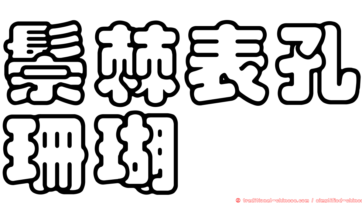 鬃棘表孔珊瑚