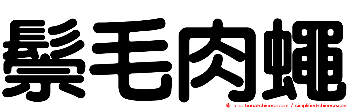 鬃毛肉蠅
