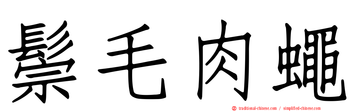 鬃毛肉蠅
