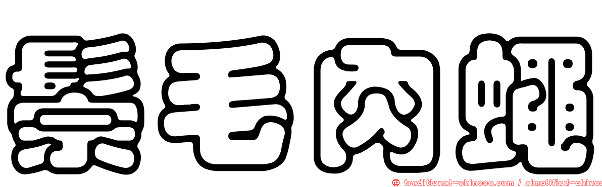 鬃毛肉蠅