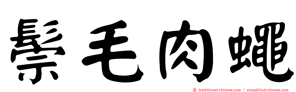 鬃毛肉蠅