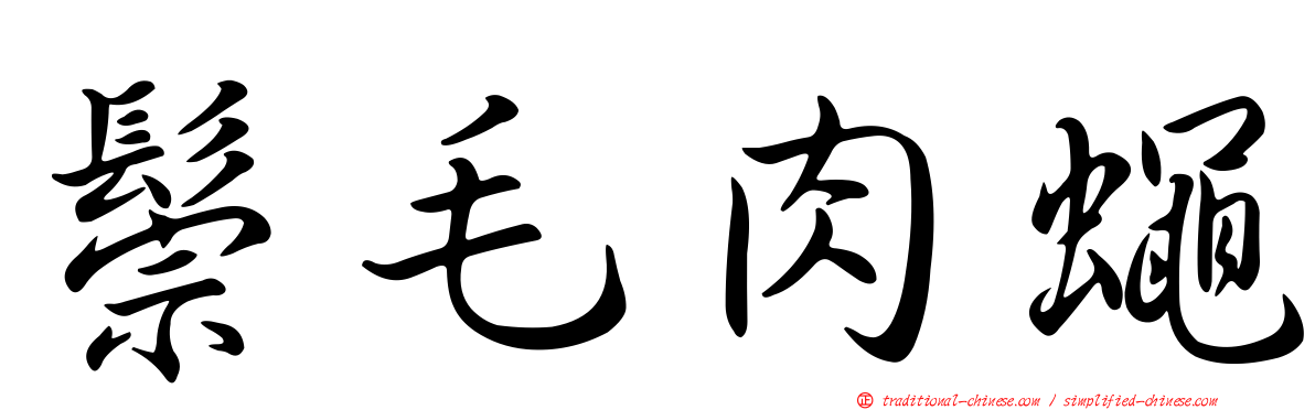 鬃毛肉蠅