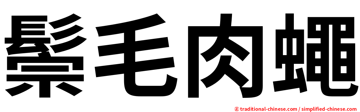 鬃毛肉蠅