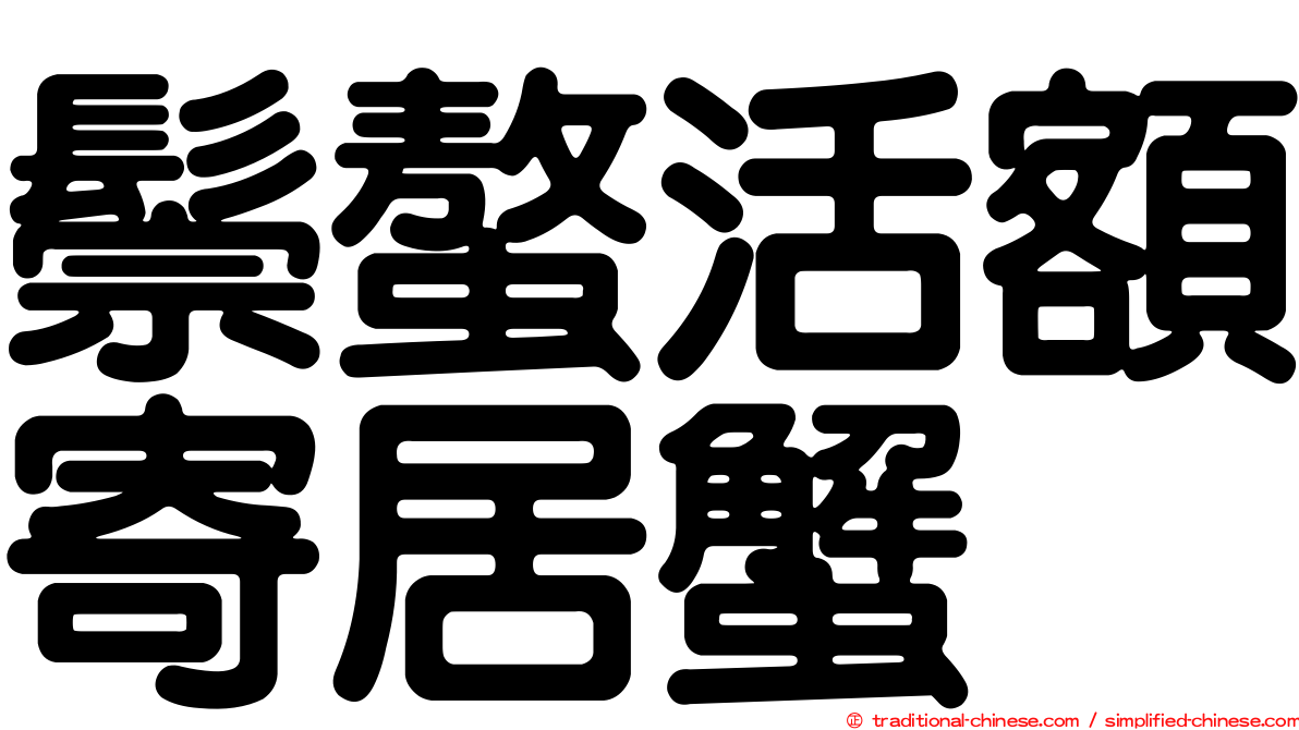 鬃螯活額寄居蟹