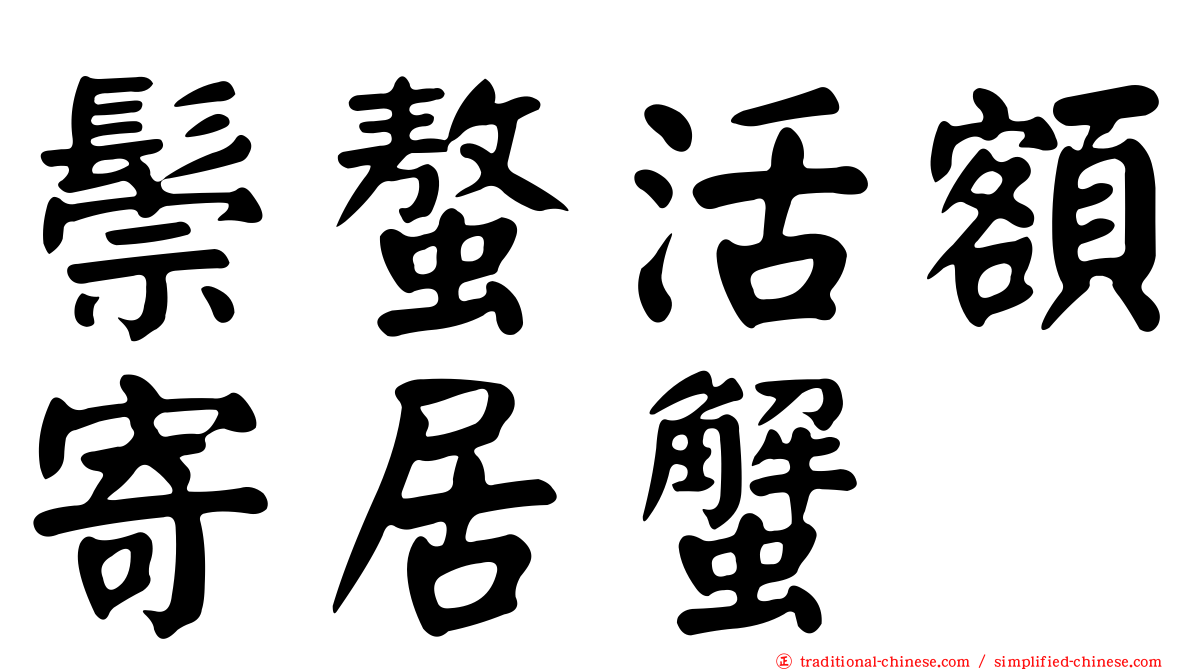 鬃螯活額寄居蟹