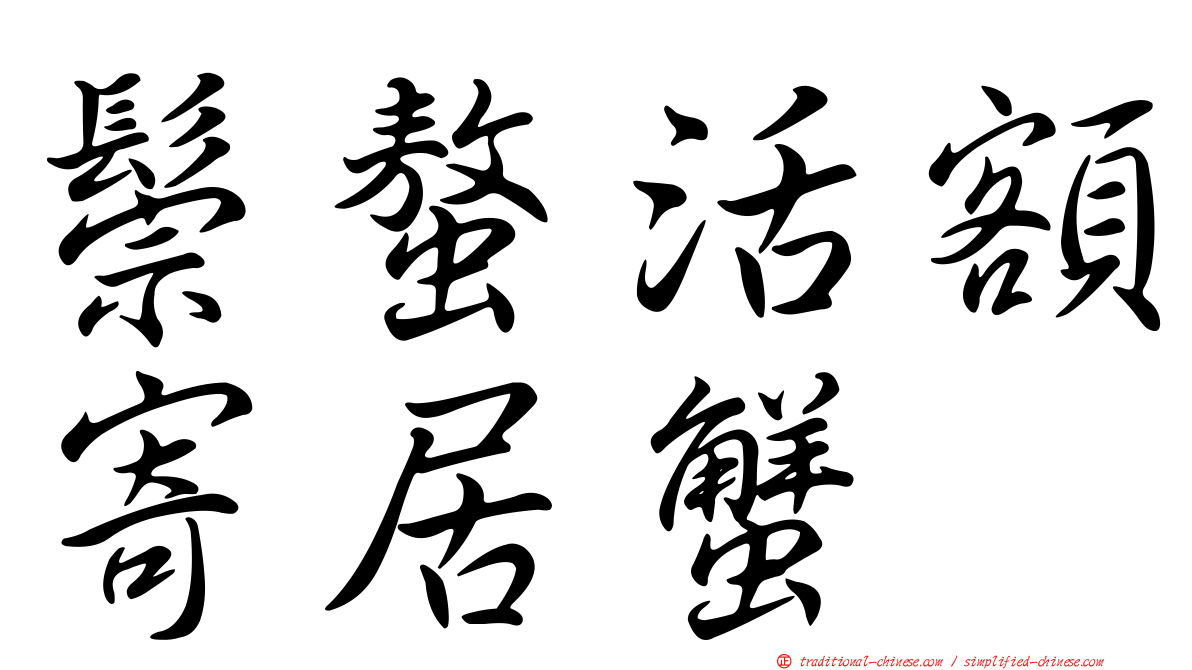 鬃螯活額寄居蟹