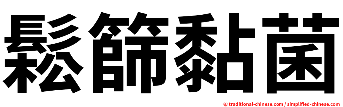 鬆篩黏菌