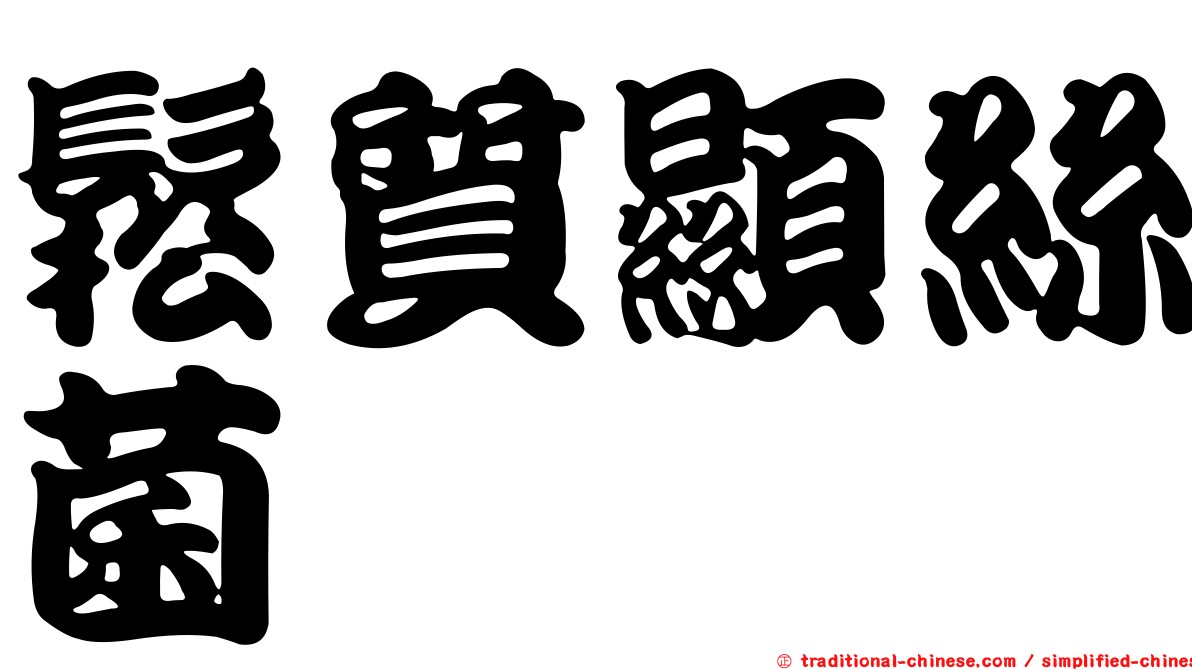 鬆質顯絲菌