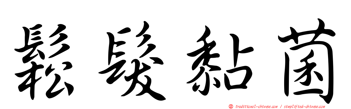 鬆髮黏菌