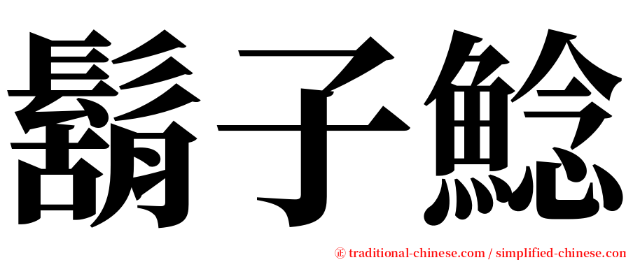 鬍子鯰 serif font