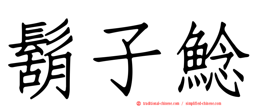鬍子鯰
