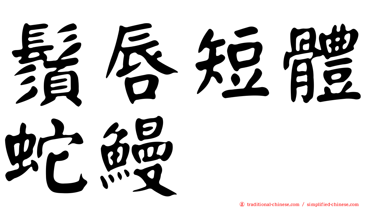 鬚唇短體蛇鰻