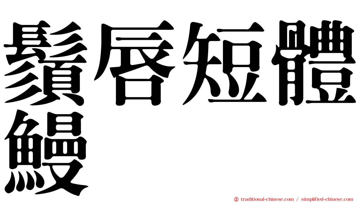 鬚唇短體鰻