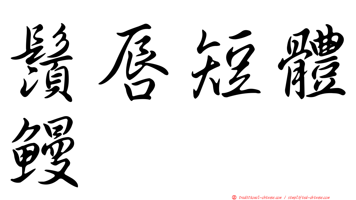 鬚唇短體鰻