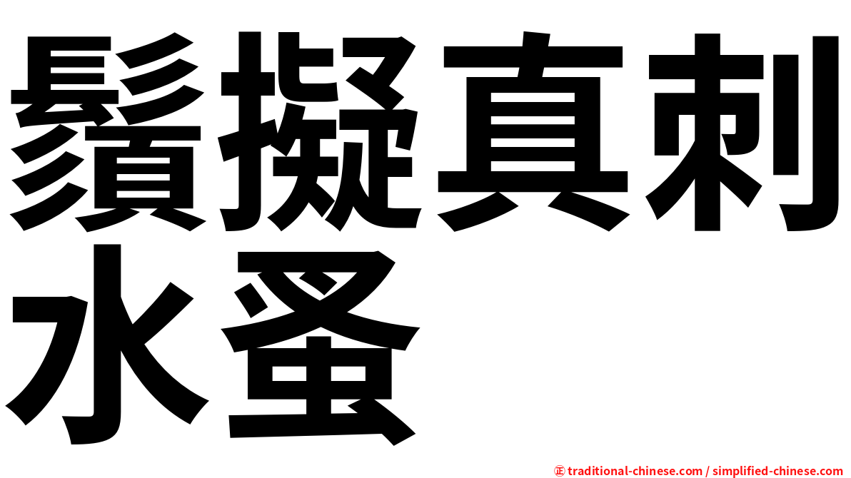 鬚擬真刺水蚤