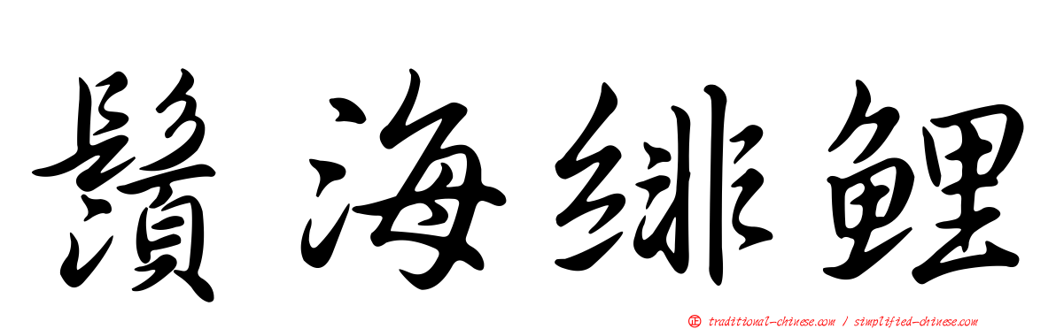 鬚海緋鯉