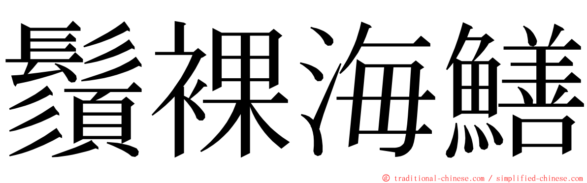 鬚裸海鱔 ming font