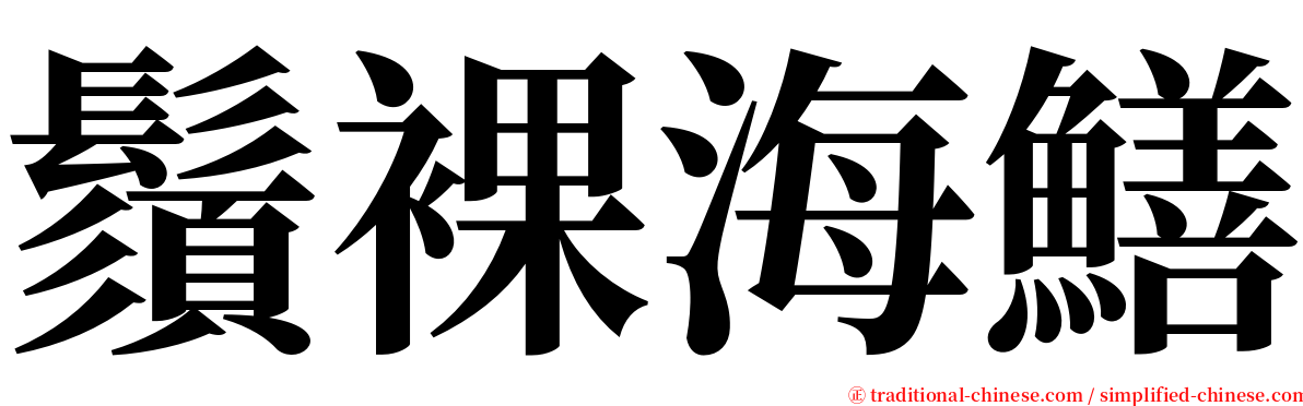 鬚裸海鱔 serif font