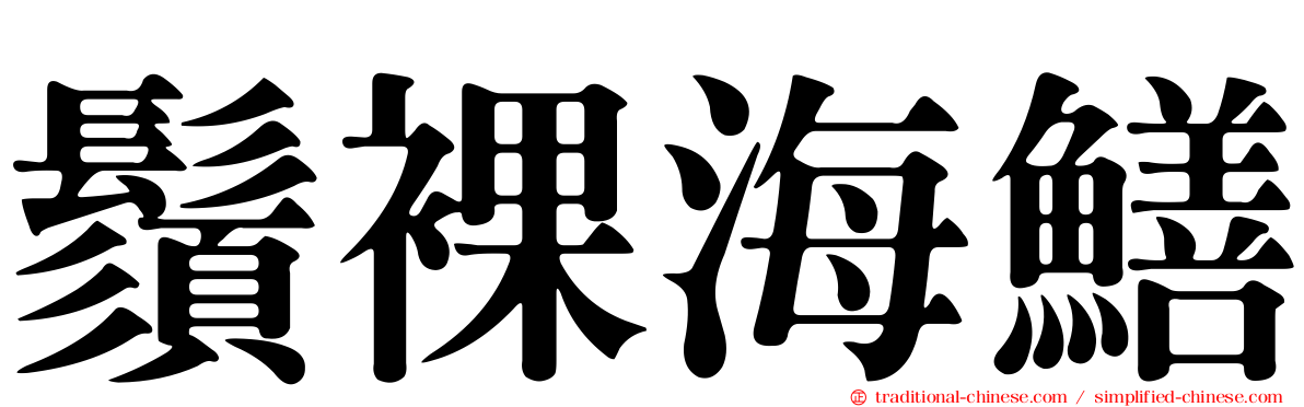 鬚裸海鱔
