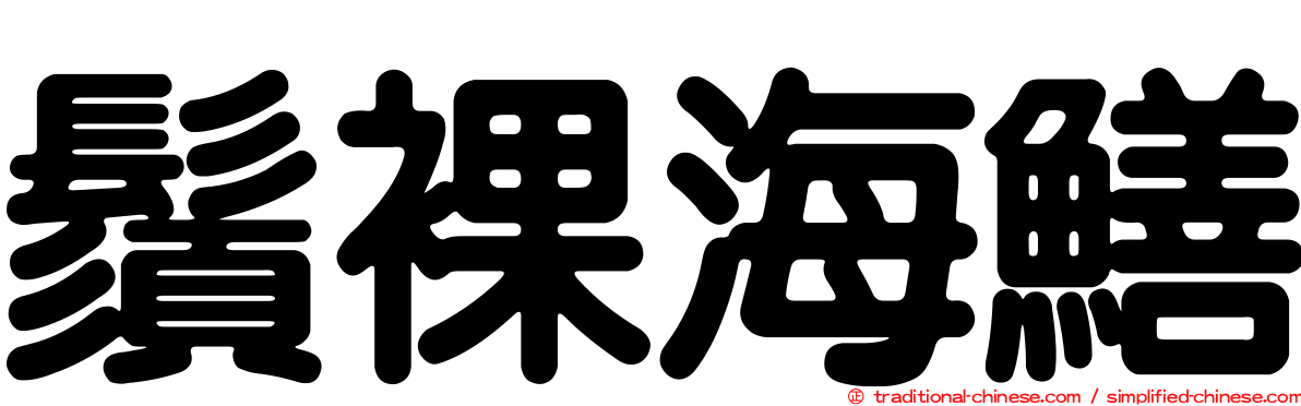 鬚裸海鱔