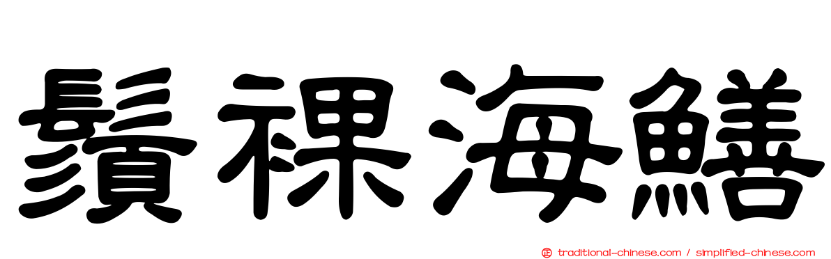 鬚裸海鱔