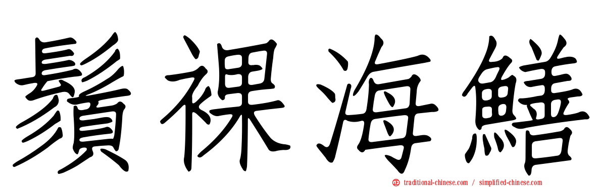 鬚裸海鱔
