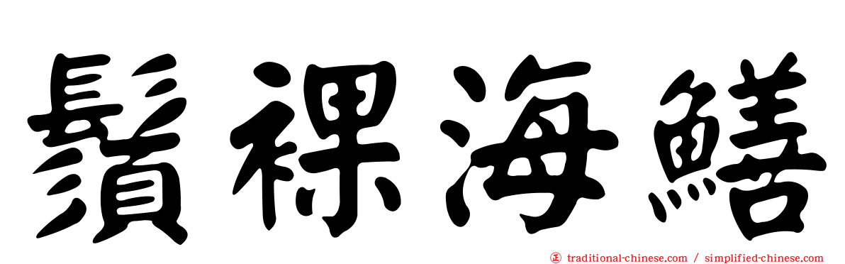 鬚裸海鱔