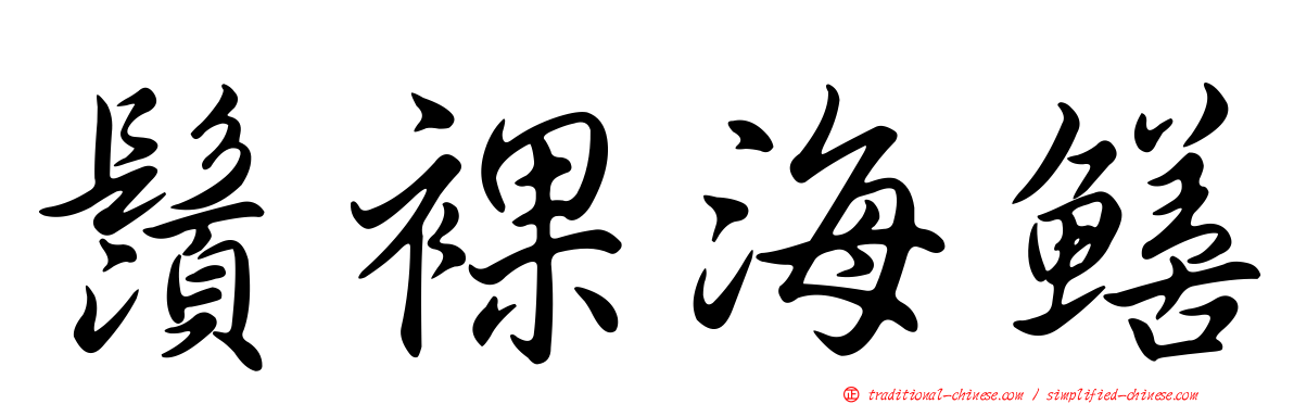 鬚裸海鱔