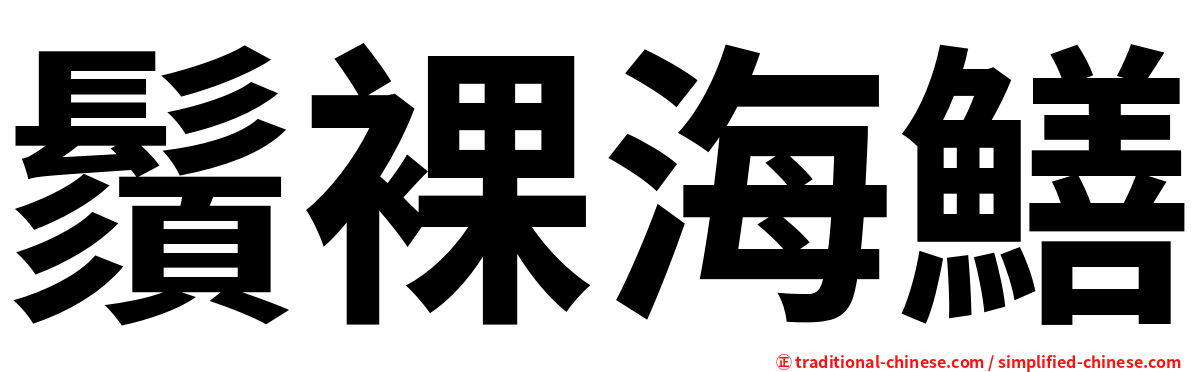 鬚裸海鱔