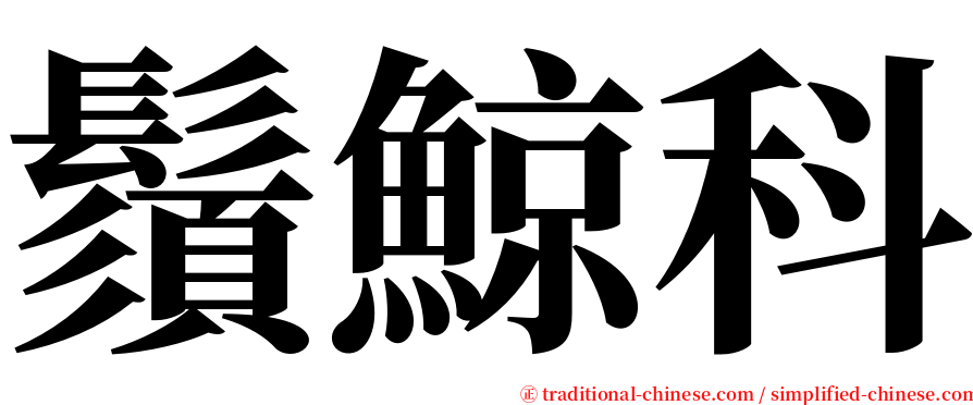 鬚鯨科 serif font
